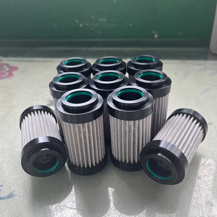 P0001856-100um-(6)