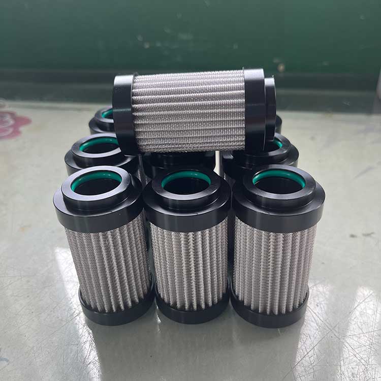 P0001856-100um-(8)